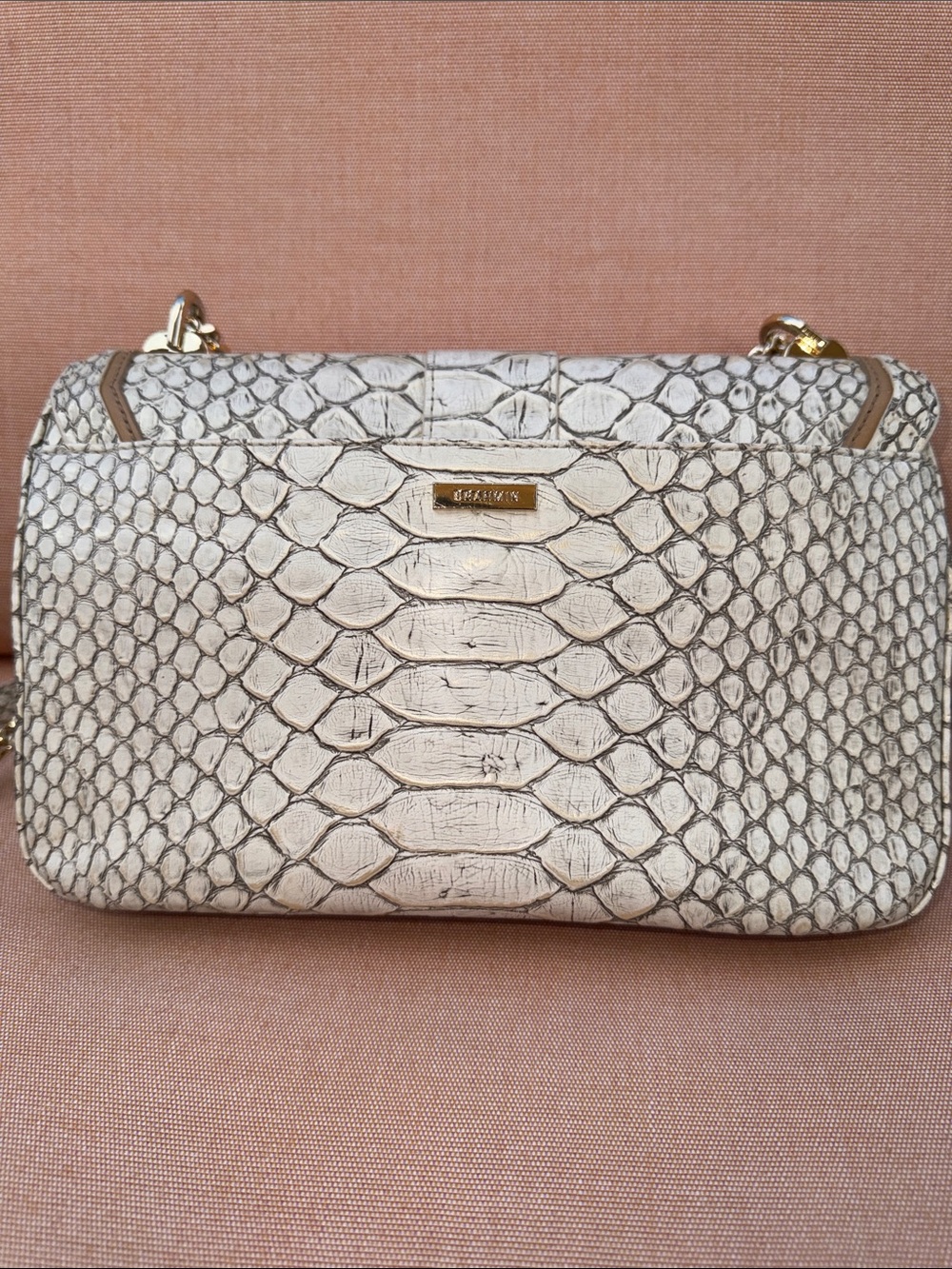 Brahmin Rosalie Oyster Grey Ellacoya Bag with Gold chain - Picture 8 of 13